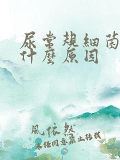 尿常规细菌高是什么原因