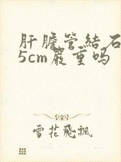 肝胆管结石0.5cm严重吗