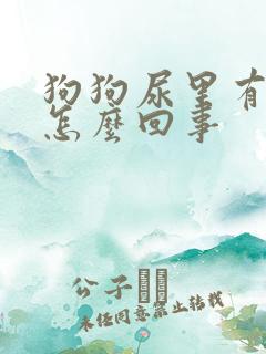 狗狗尿里有血是怎么回事