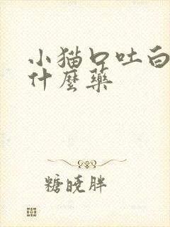 小猫口吐白沫吃什么药