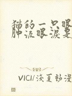 猫的一只眼睛红肿流眼泪是怎么回事