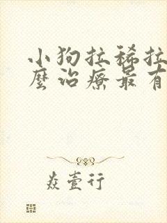 小狗拉稀拉血怎么治疗最有效