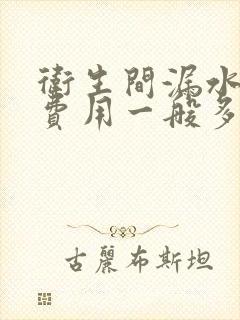 卫生间漏水补漏费用一般多少钱