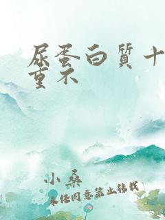 尿蛋白质十2严重不