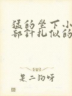 猛的坐下小腹底部针扎似的疼