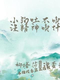 小狗吐不吃东西没精神吃什么药好