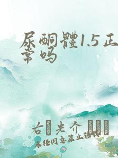 尿酮体1.5正常吗