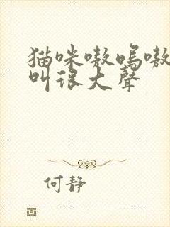 猫咪嗷呜嗷呜的叫很大声