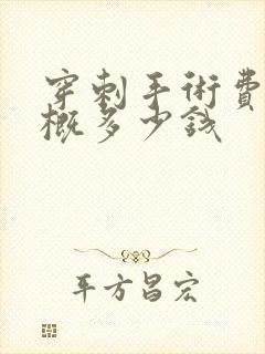 穿刺手术费用大概多少钱