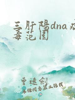 三肝阳dna病毒范围