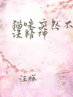 猫咪突然不动了没精神