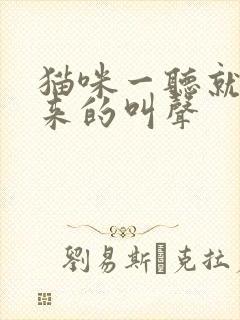 猫咪一听就会过来的叫声