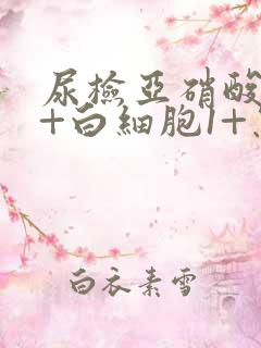 尿检亚硝酸盐1+白细胞1+怎么回事