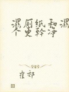 湿厕纸和湿巾哪个更干净