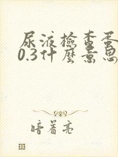 尿液检查蛋白质0.3什么意思