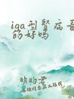 iga型肾病看的好吗