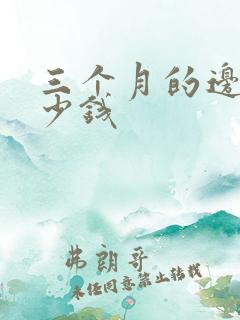 三个月的边牧多少钱