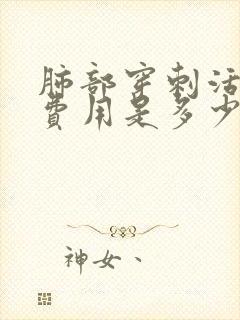 肺部穿刺活检的费用是多少