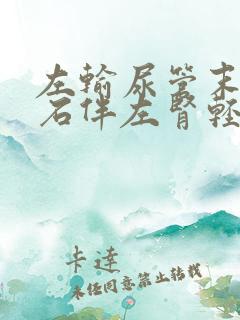 左输尿管末端结石伴左肾轻度积水