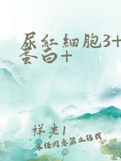 尿红细胞3+尿蛋白+