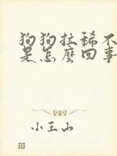 狗狗拉稀不吃饭是怎么回事