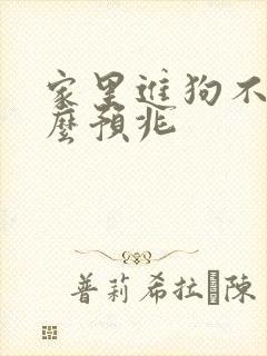 家里进狗不走什么预兆