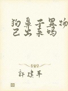 狗鼻子异物能自己出来吗