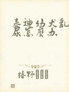 泰迪幼犬乱拉乱尿怎么办