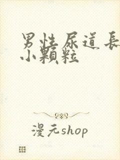 男性尿道长很多小颗粒