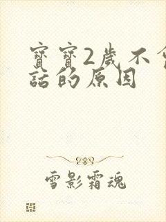 宝宝2岁不会说话的原因