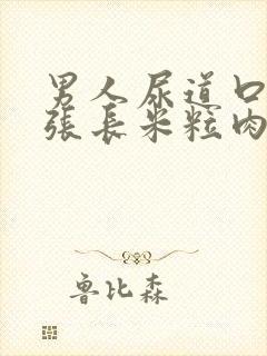 男人尿道口边上张长米粒肉粒