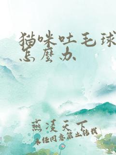 猫咪吐毛球拉稀怎么办