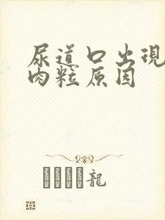 尿道口出现红色肉粒原因