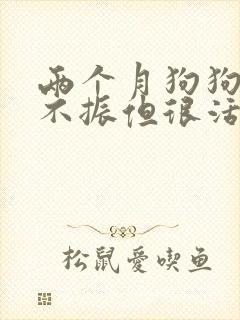 两个月狗狗食欲不振但很活跃