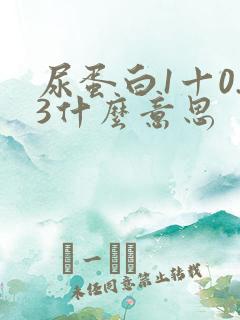 尿蛋白1十0.3什么意思