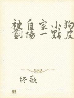 被自家小狗爪子划伤一点皮出血有事吗