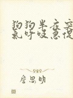 狗狗半夜突然喘气呼吸急促