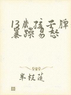 13岁孩子脾气暴躁易怒