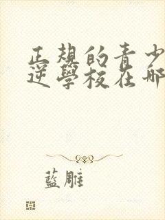 正规的青少年叛逆学校在哪里