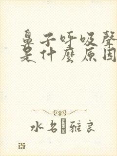 鼻子呼吸声音大是什么原因