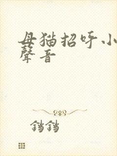 母猫招呼小猫的声音