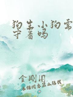 狗生小狗需要人守着吗