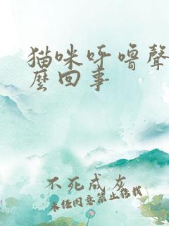 猫咪呼噜声大怎么回事