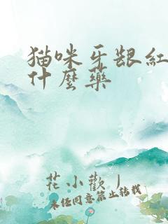 猫咪牙龈红肿吃什么药