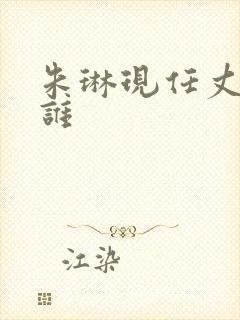 朱琳现任丈夫是谁