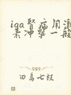 iga肾病用激素冲击一般几个疗程