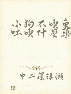 小狗不吃东西呕吐吃什么药好?