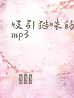 吸引猫咪的叫声mp3