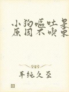 小狗呕吐是什么原因不吃东西