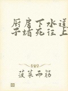 厨房下水道大管子堵死往上反水